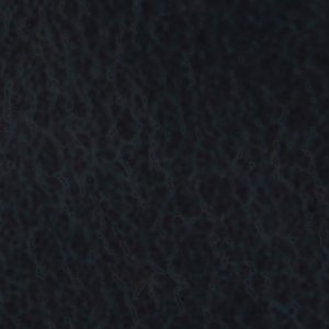 Fiero - Image 9