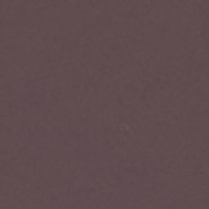 Conney - Image 8