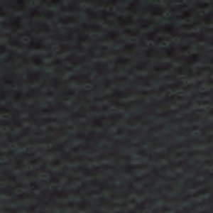 Conney - Image 8
