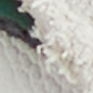 Clubmtl - Image 9