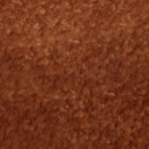 Julius - Image 9