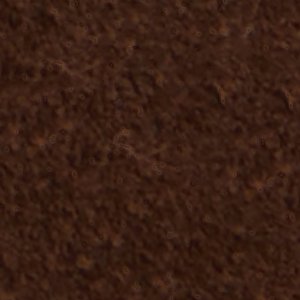 Viviania - Image 8