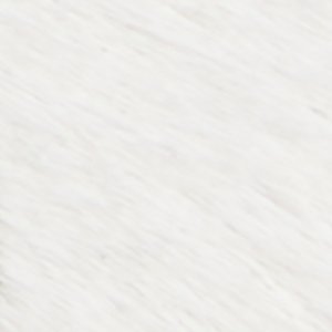 Viviania - Image 8