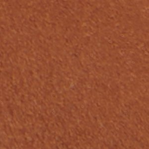 Daphnea - Image 8