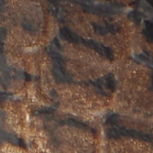 Arturo - Image 9