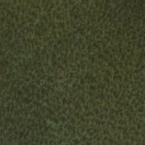 Buckley - Image 9