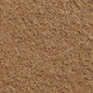 Montie - Image 10