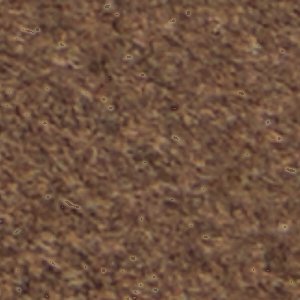 Piero - Image 10