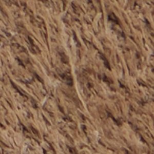 Alexio - Image 9