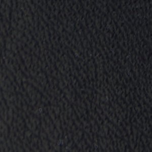 Braxton - Image 9