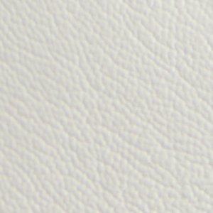 Braxton - Image 9