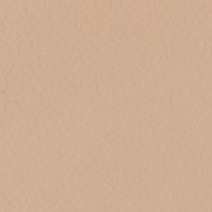 Andyana - Image 8