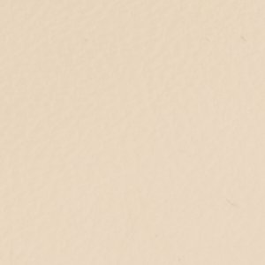 Solania - Image 8