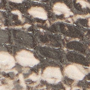 Danrose - Image 9
