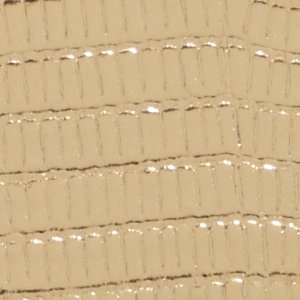 Aellaax - Image 6