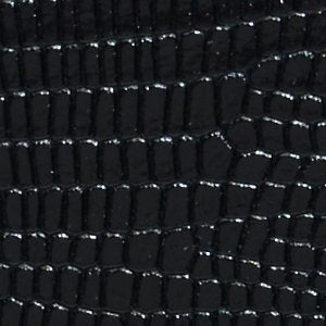Aellaax - Image 6