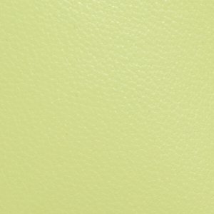 Ledia - Image 7