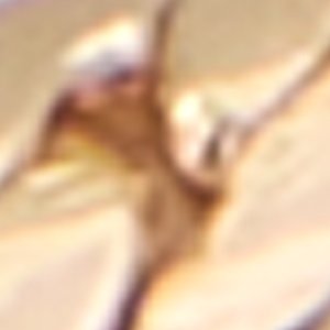 Lovecapsn - Image 3