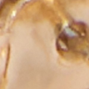 Careslin - Image 2