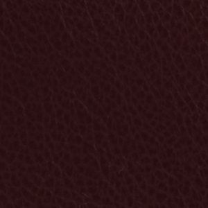 Noemmie - Image 3