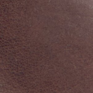Longhorn - Image 8