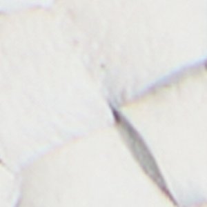 Dragostee - Image 7