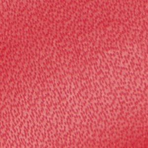 Petras - Image 8