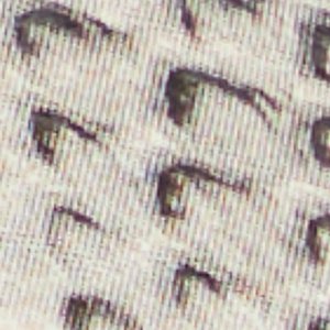 Bellamyy - Image 8