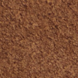 Kaelya - Image 7