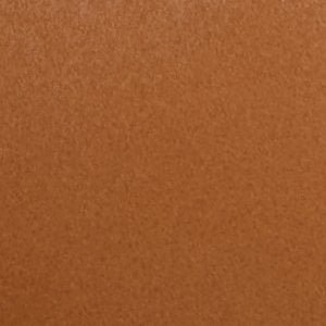 Thalina - Image 8