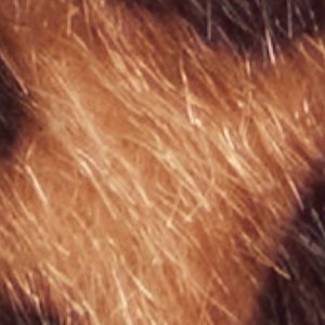 Syliaa - Image 8