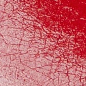 Syliaa - Image 8