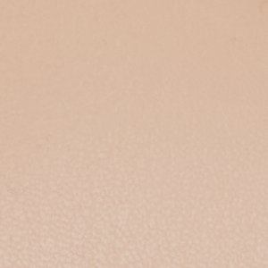 Alisonn - Image 8