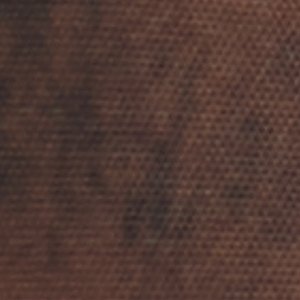 Kaydia - Image 6