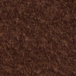 Emberlyn - Image 7