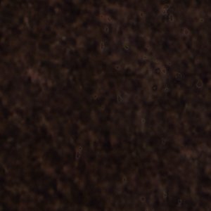 Selora - Image 9