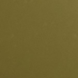Nealie - Image 9