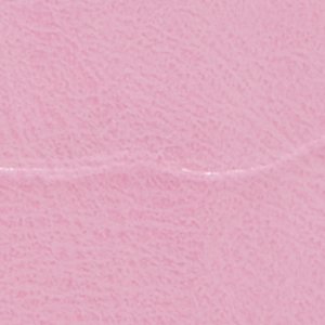 Abriella - Image 6