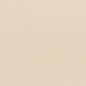 Eelinoraa - Image 7