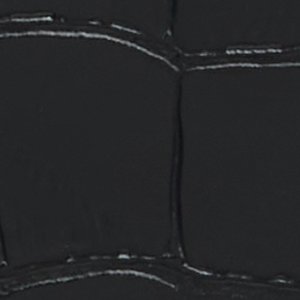 Akaylee - Image 6