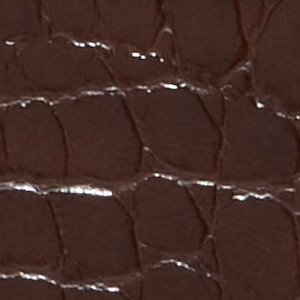 Akaylee - Image 6