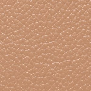 Ivieee - Image 6