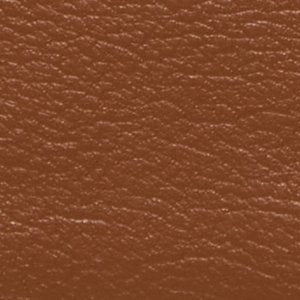 Aauralii - Image 7