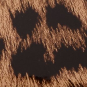 Jabellee - Image 6