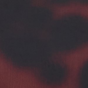 Tortiva - Image 2