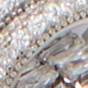 Venomarra - Image 3