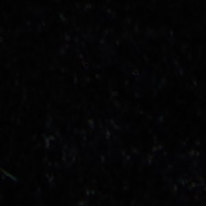 Starrie - Image 8