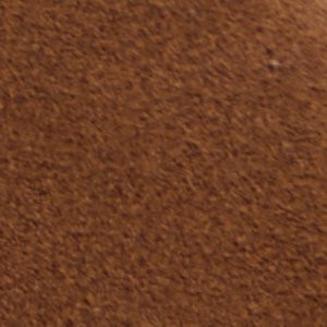 Hunter - Image 9