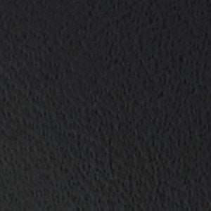Kylan - Image 9