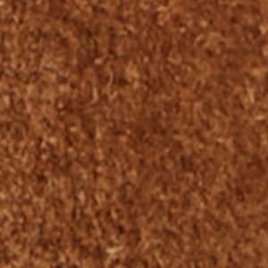 Rocko - Image 9
